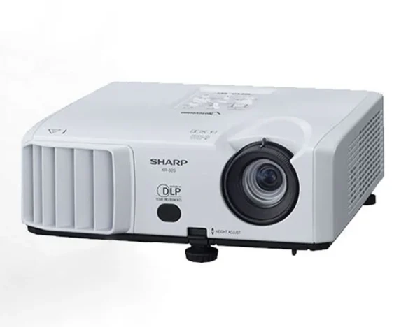 6620fcf5666aa0.37256255 procsima